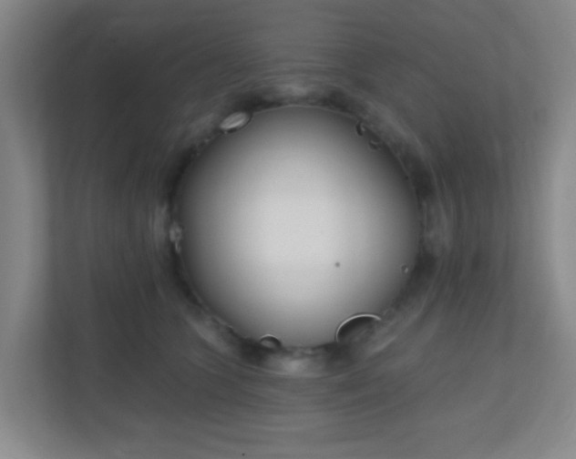X0000110920563200906251420