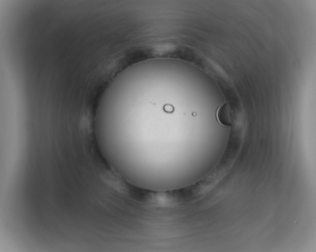 X0000110920565200906251420