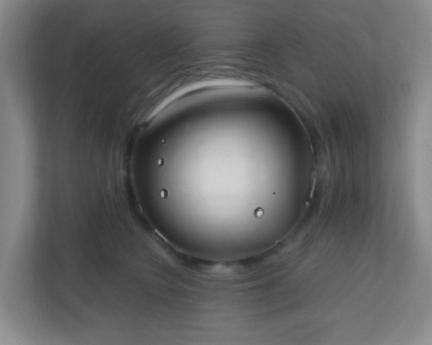 X0000110920566200906251420