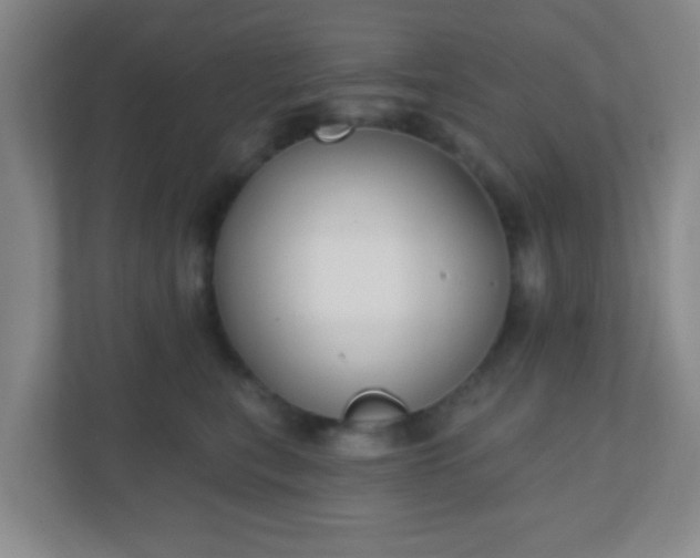 X0000110920567200906251420
