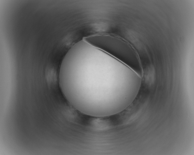 X0000110920568200906251420