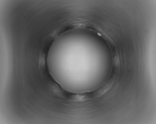 X0000110920570200906251420