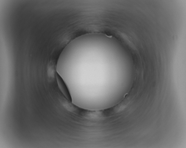 X0000110920576200906251420