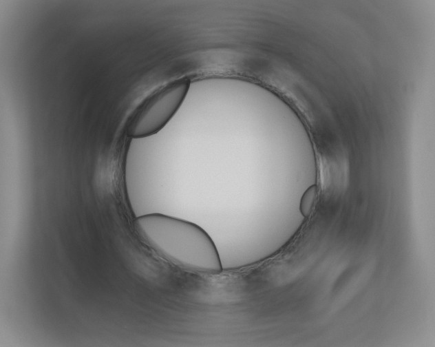 X0000110920579200906251420