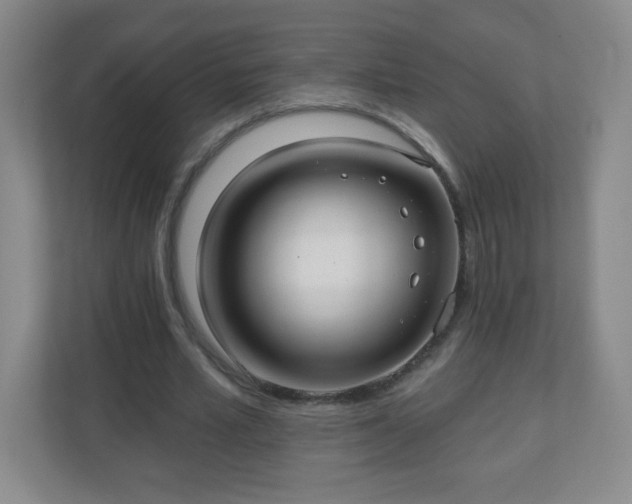 X0000110920581200906251420