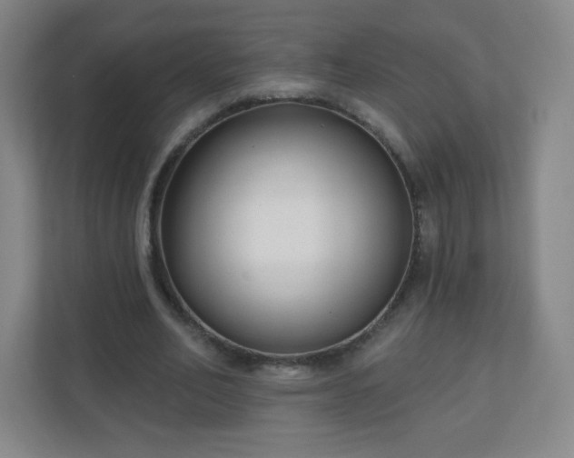 X0000110920582200906251420