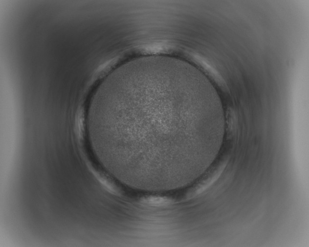 X0000110920590200906251420