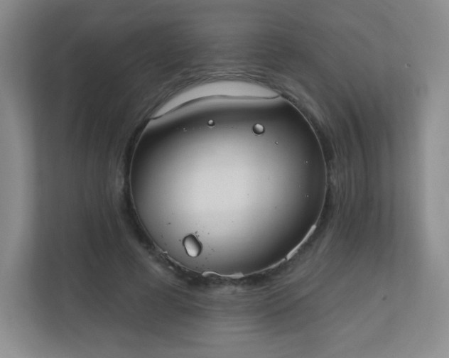 X0000110920593200906251420