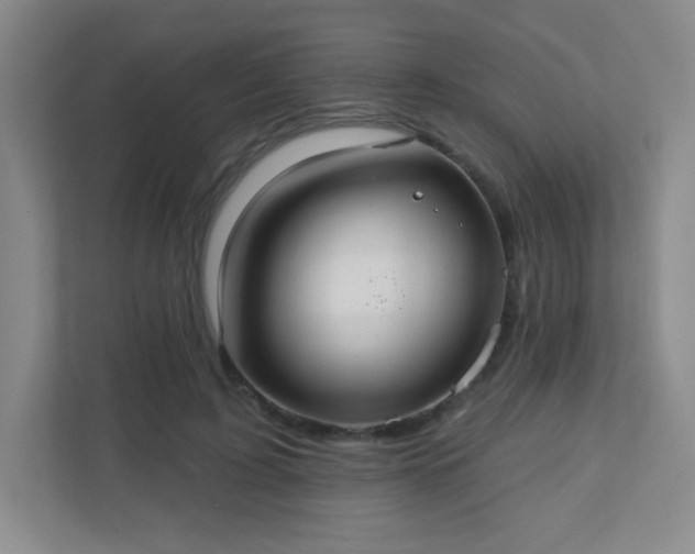 X0000110920595200906251420