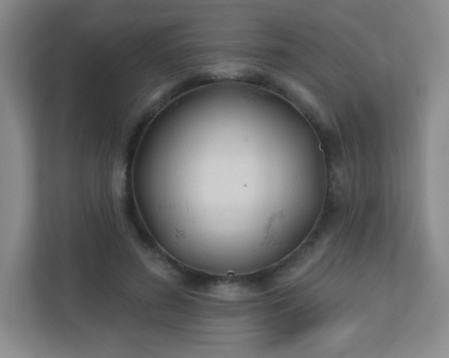 X0000110920596200906251420