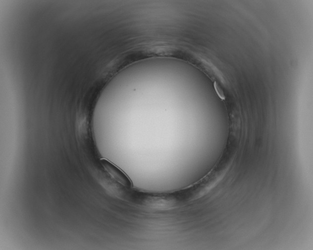 X0000110920597200906251419