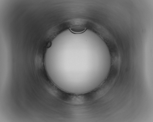 X0000110920599200906251419