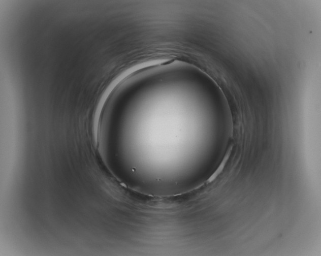 X0000110920601200906251419