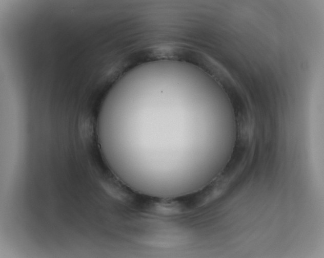X0000110920603200906251419