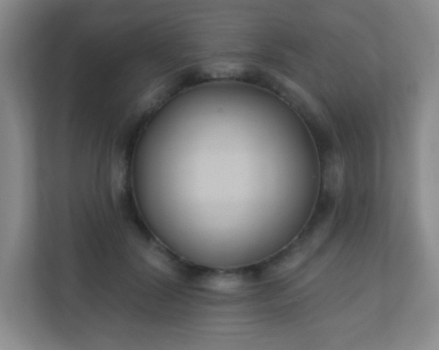 X0000110920604200906251419