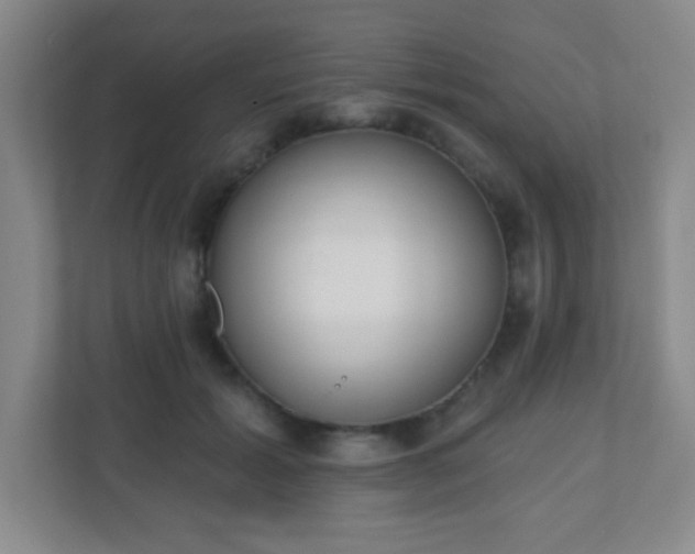 X0000110920605200906251419