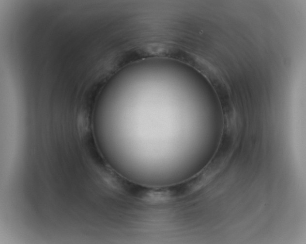 X0000110920606200906251419
