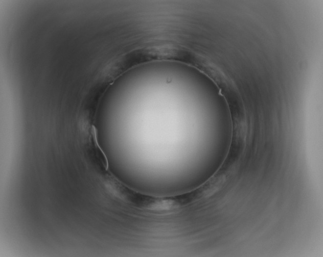 X0000110920609200906251419