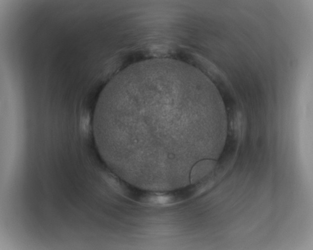 X0000110920610200906251419
