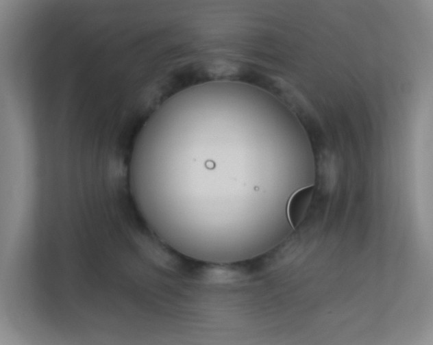 X0000110920614200906251419