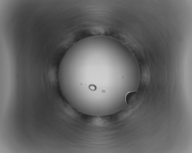 X0000110920616200906251419