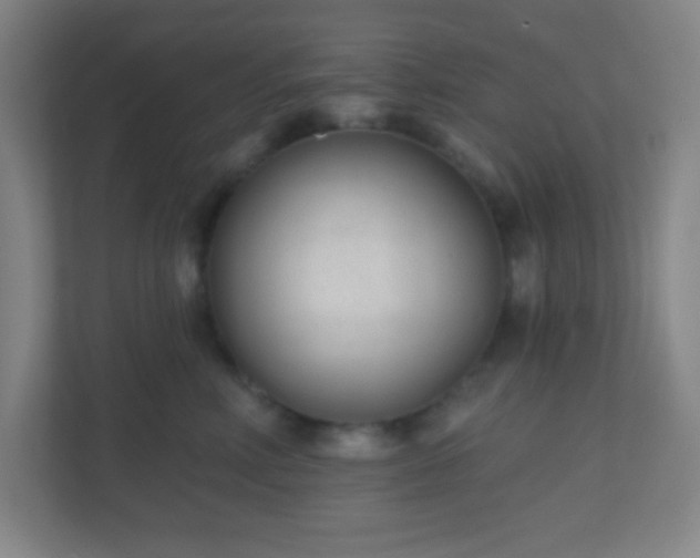 X0000110920618200906251419