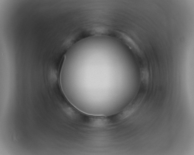 X0000110920621200906251419