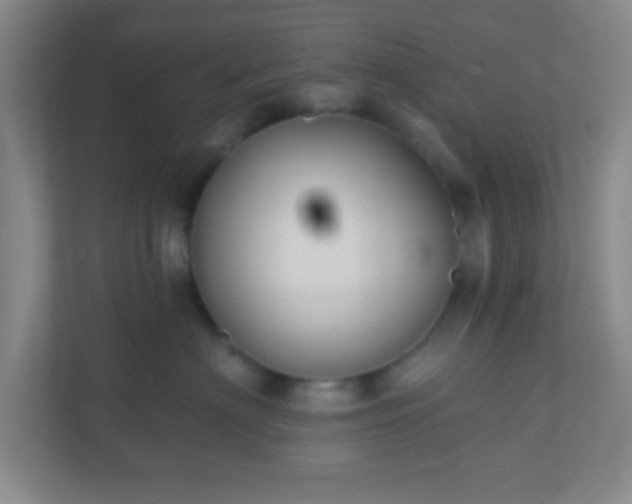 X0000110920622200906251419