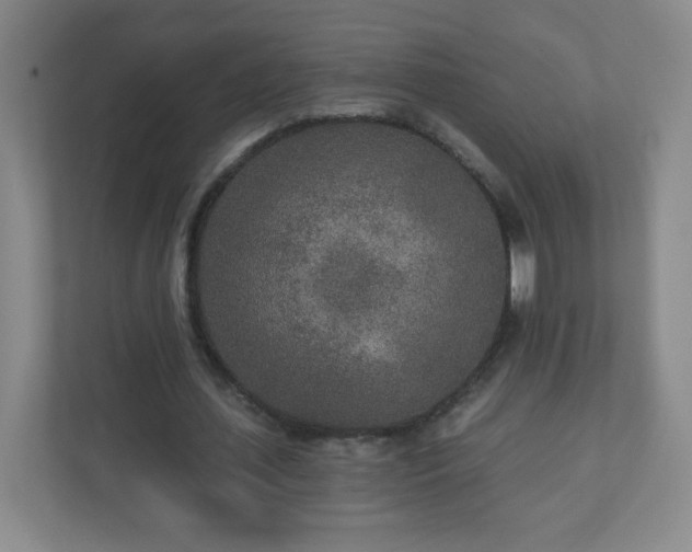 X0000110920627200906251419