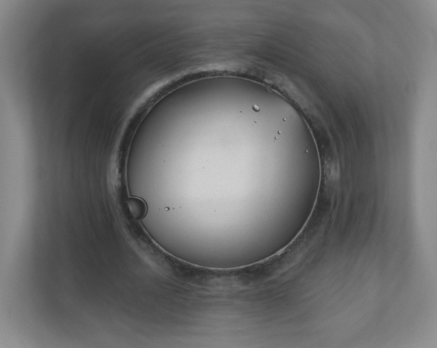 X0000110920628200906251419