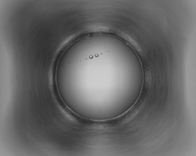 X0000110920629200906251419