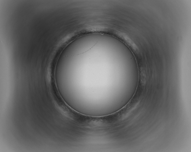 X0000110920631200906251419
