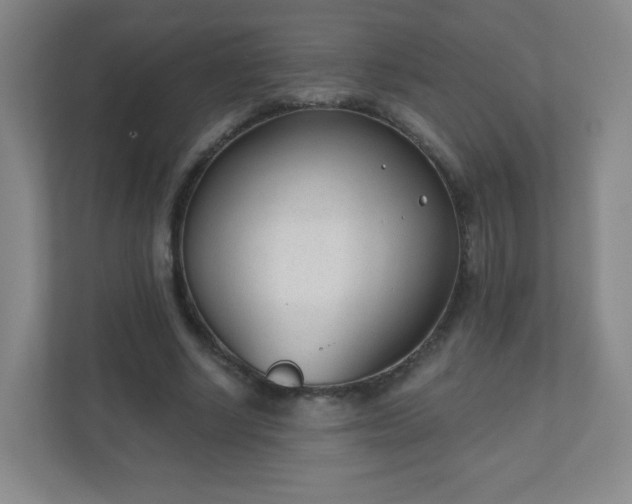 X0000110920634200906251419