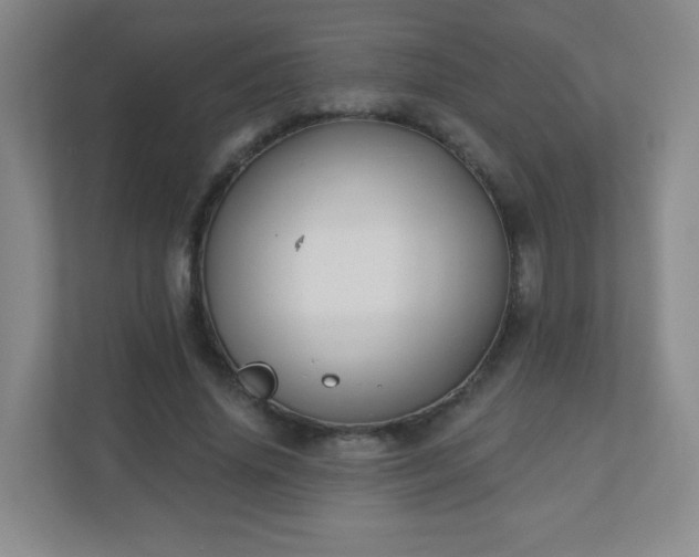 X0000110920636200906251419