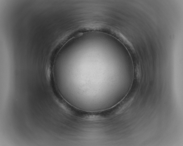 X0000110920637200906251419