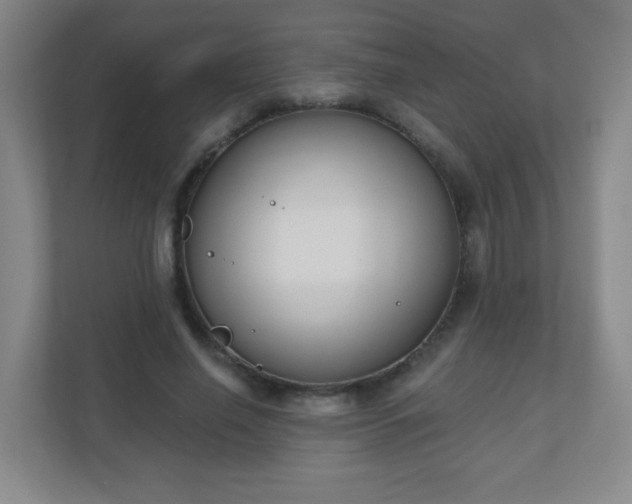 X0000110920638200906251419