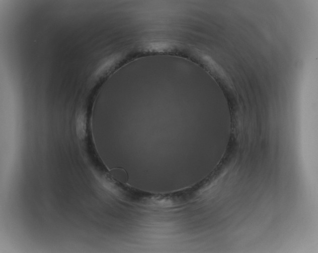 X0000110920640200906251419