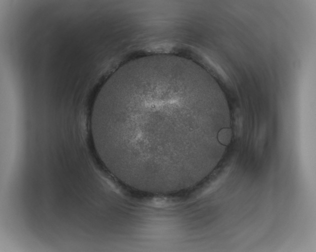 X0000110920641200906251419