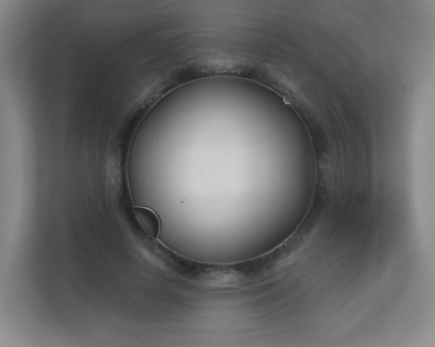 X0000110920642200906251419