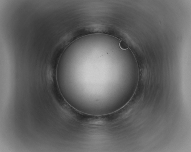 X0000110920643200906251419
