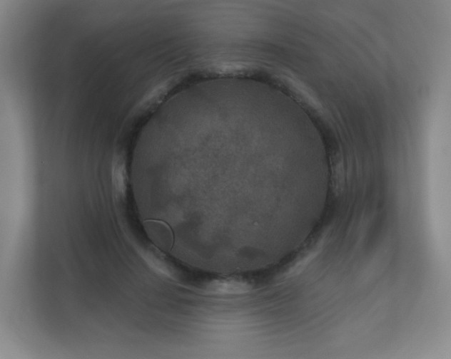 X0000110920644200906251419