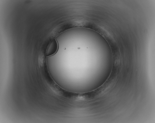 X0000110920647200906251419