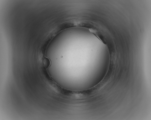 X0000110920650200906251419