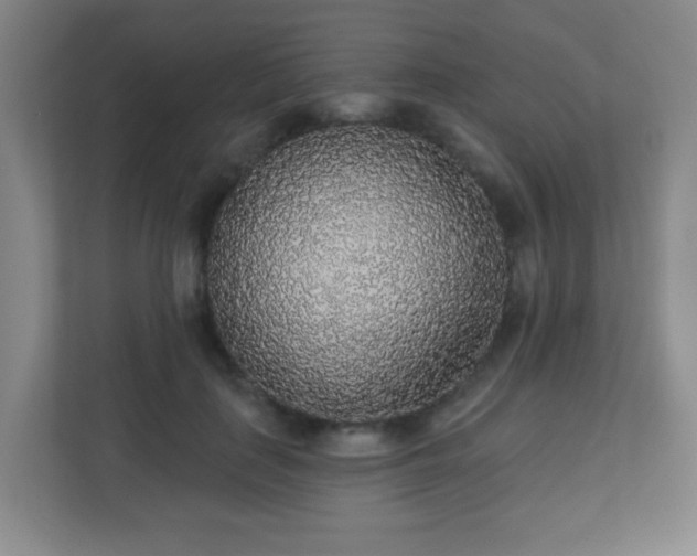 X0000110920651200906251419
