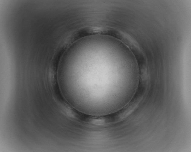X0000110920653200906251419
