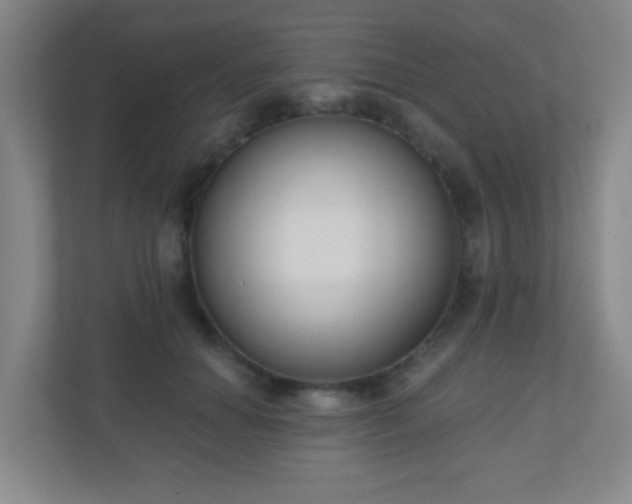X0000110920654200906251419