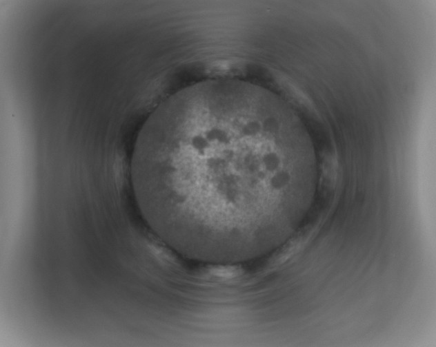 X0000110920659200906251419