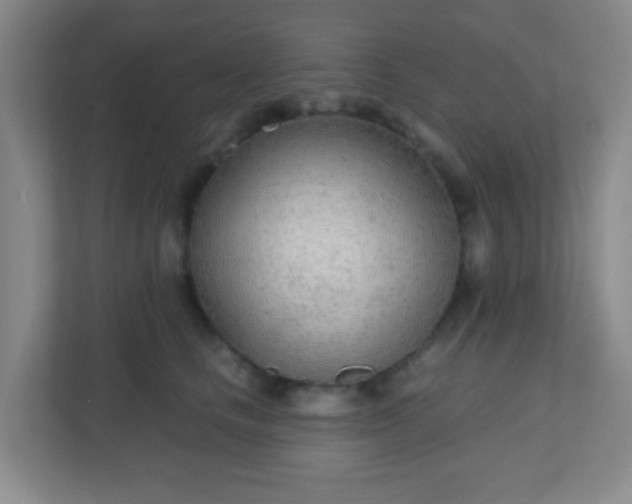X0000110920661200906251419