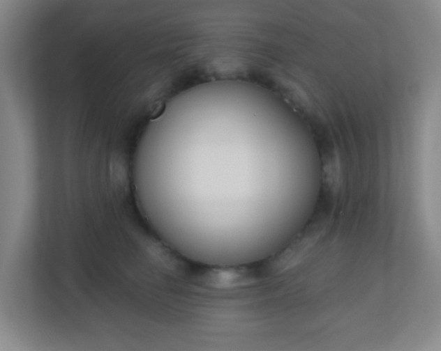 X0000110920662200906251419