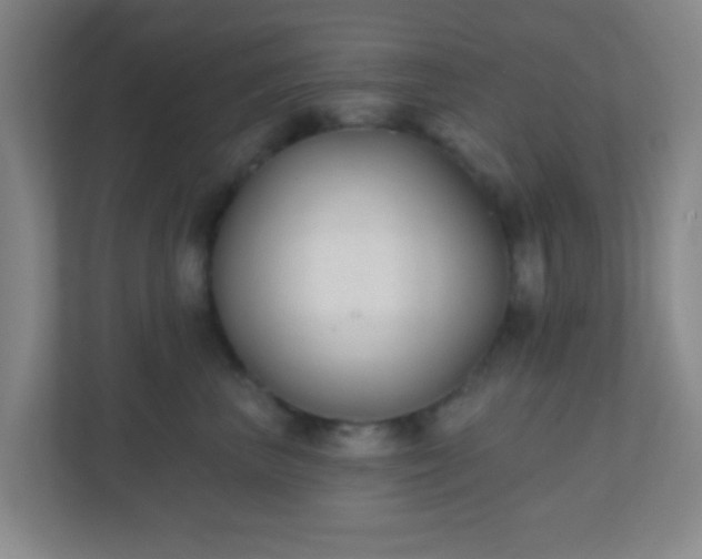 X0000110920667200906251419